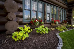 Mulch with plants and window planters