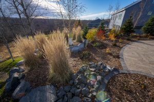 ornamental grass fall landscaping