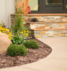 flowers and small shrubs on side of house for curb appeal