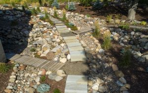 Hillside landscapes with native plants, boulders, natural stairs and stepping stones