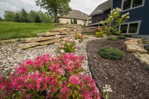 landscaping with various pink flowers 