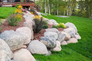 Plants on curved edges of rocks