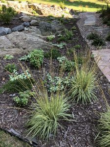 hillside landscapes with natural rock pocket gardens