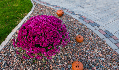 paver driveway